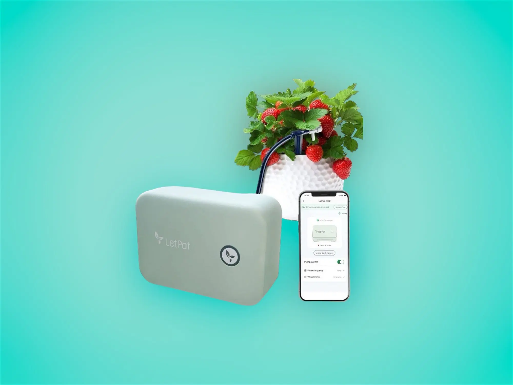 Revolutionize Your Plant Routine with the LetPot Automatic Watering System