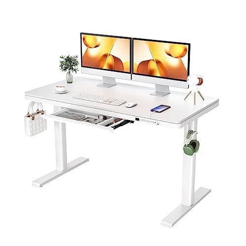 ErGear Dual Motor Electric Standing Desk